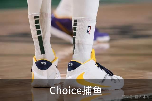 关于Choice捕鱼